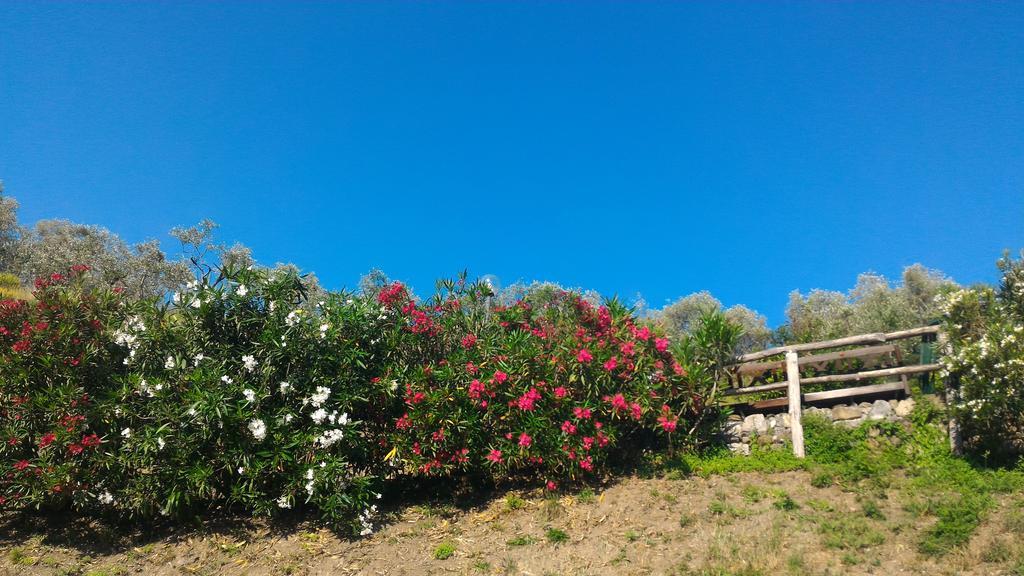 Agriturismo La Quiete ليفانتو المظهر الخارجي الصورة