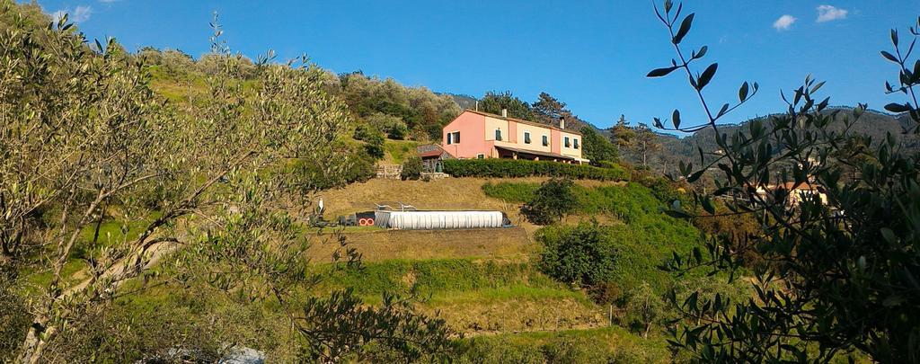 Agriturismo La Quiete ليفانتو المظهر الخارجي الصورة